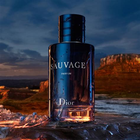 christian dior dior sauvage edp spray|Dior Sauvage best price.